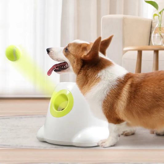 Fetch-O-Matic Mini: Delightful Dog Launcher
