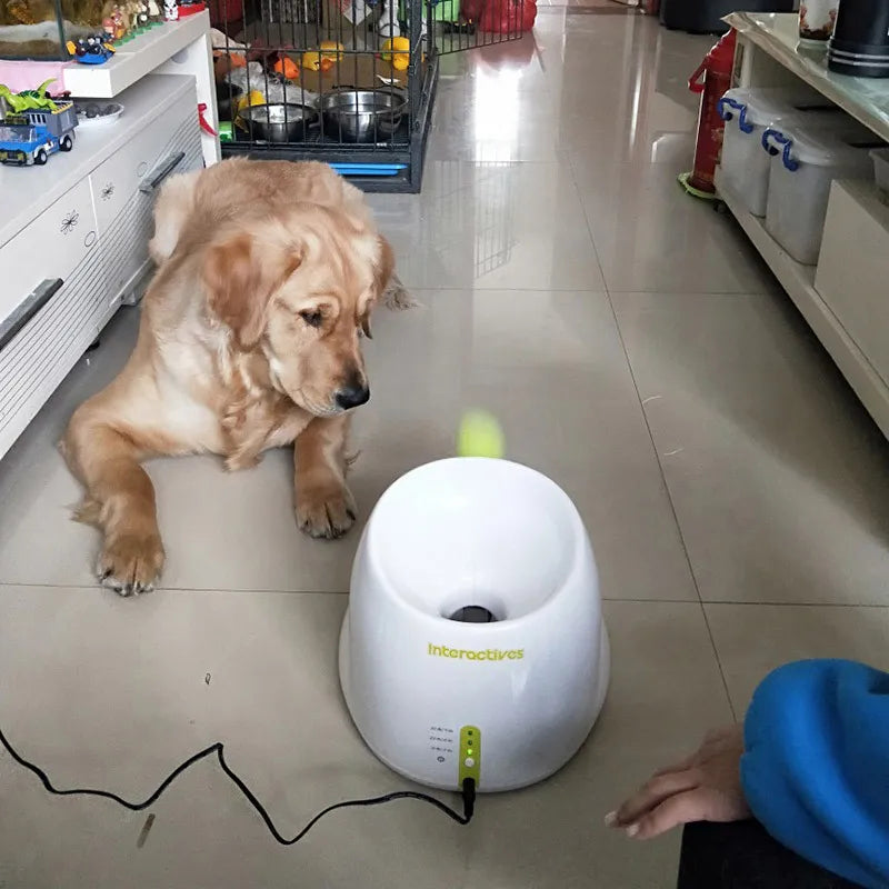 Fetch-O-Matic Mini: Delightful Dog Launcher